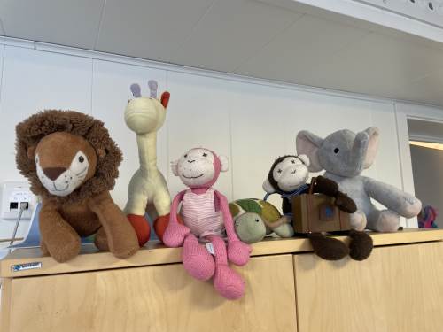 Monki, Palaiya og vennene deres har vært gøye denne måneden